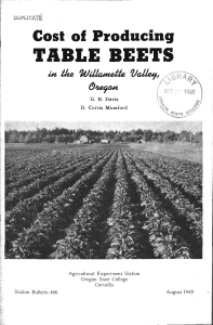 TABLE BEETS Cost of Producing Ilte WiIIa#nelle 2/a21e, D. Curtis Mumford