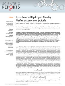 Taxis Toward Hydrogen Gas by Methanococcus maripaludis Kristen A. Brileya