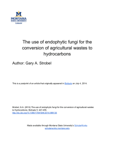 The use of endophytic fungi for the hydrocarbons Author: Gary A. Strobel