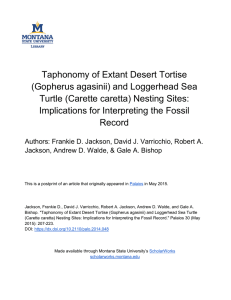 Taphonomy of Extant Desert Tortise (Gopherus agasinii) and Loggerhead Sea