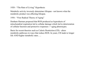 1920 - “The Rate of Living” Hypothesis
