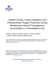 Cellular Cycling, Carbon Utilization, and Photosynthetic Oxygen Production During Bicarbonate-Induced Triacylglycerol
