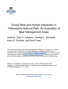Grizzly Bear and Human Interaction in Bear Management Areas