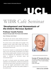 WIBR Café Seminar ‘Development and Homeostasis of the Enteric Nervous System'