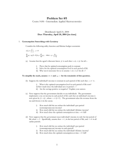 Problem Set #5 Course 14.06 – Intermediate Applied Macroeconomics