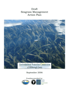Draft Seagrass Management September 2006