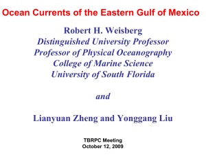 Ocean Currents of the Eastern Gulf of Mexico Robert H. Weisberg