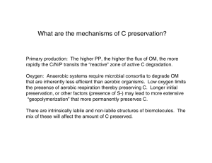 What are the mechanisms of C preservation?