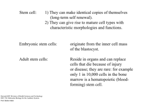 Stem cell: 1) They can make identical copies of themselves