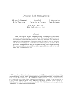 Dynamic Risk Management