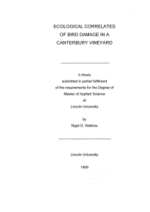ECOLOGICAL CORRELATES OF BIRD DAMAGE IN A CANTERBURY VINEYARD