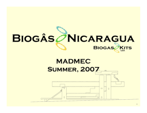 MADMEC Summer, 2007 USA 1
