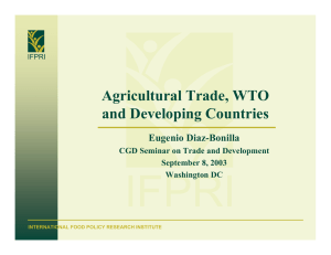 IFPRI Agricultural Trade, WTO and Developing Countries Eugenio Diaz-Bonilla