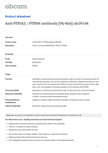 Anti-PTPIA2 / PTPRN antibody [98/4h6] ab39164 Product datasheet Overview Product name