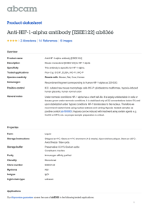 Anti-HIF-1-alpha antibody [ESEE122] ab8366 Product datasheet 2 Abreviews 6 Images