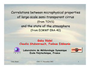 Correlations between microphysical properties of large - scale