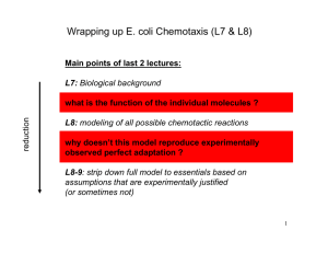 Wrapping up E. coli Chemotaxis (L7 &amp; L8)