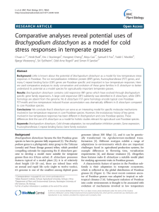 Comparative analyses reveal potential uses of stress responses in temperate grasses