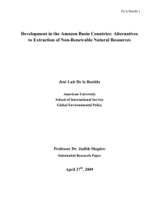 Development in the Amazon Basin Countries: Alternatives