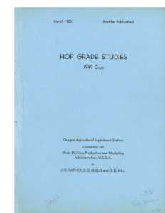 HOP GRADE STUDIES 1949 Crop