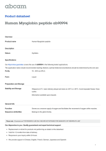 Human Myoglobin peptide ab90994 Product datasheet Overview Product name