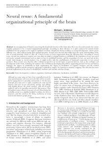Neural reuse: A fundamental organizational principle of the brain Michael L. Anderson