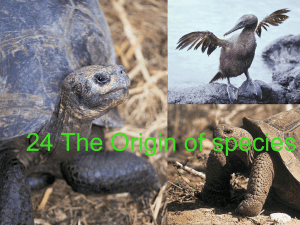 24 The Origin of species Figure 4.3 (b)