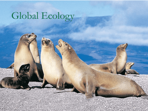 Global Ecology 1