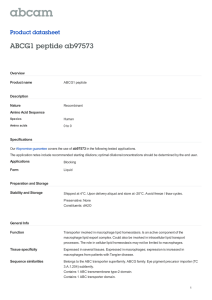 ABCG1 peptide ab97573 Product datasheet Overview Product name