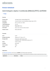 Anti-Integrin alpha 2 antibody [HMa2] (FITC) ab95582