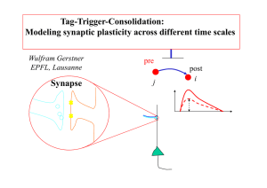 Tag-Trigger-Consolidation: Modeling synaptic plasticity across different time scales Synapse pre