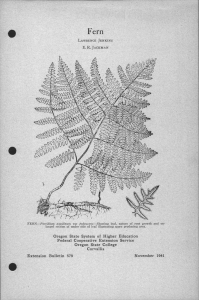 Fern Oregon State System of Higher Education Federal Cooperative Extension Service