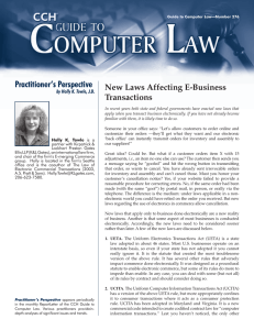 Practitioner’s Perspective New Laws Affecting E-Business Transactions