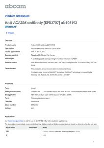Anti-ACADM antibody [EPR3707] ab108192 Product datasheet 3 Images Overview