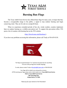 Burning Ban Flags