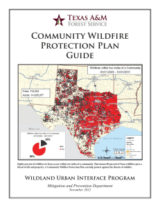 Community Wildfire Protection Plan Guide