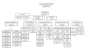 TEXAS A&amp;M FOREST SERVICE Finance and Administration Division Organizational Chart