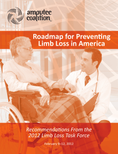 Roadmap for Preventing Limb Loss in America Recommendations From the