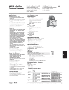 DMVF(B) – Exit Sign 9L