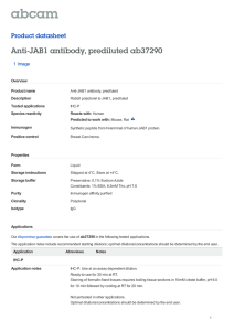 Anti-JAB1 antibody, prediluted ab37290 Product datasheet 1 Image
