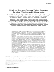 kB and Androgen Receptor Variant Expression NF- Correlate With Human BPH Progression