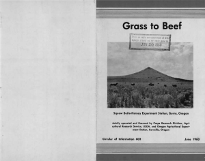 Grass to Beef JUN 20 19G0 &#34;w Squaw Butte-Harney Experiment Station, Burns, Oregon