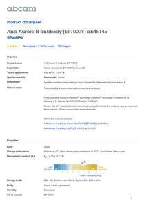 Anti-Aurora B antibody [EP1009Y] ab45145 Product datasheet 1 Abreviews 10 Images