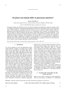 Do plants and animals differ in phenotypic plasticity? R M B