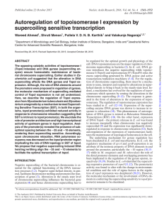 Autoregulation of topoisomerase I expression by supercoiling sensitive transcription Wareed Ahmed