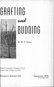 MIS BUDDI116 Extension Bulletin 528 September 1939