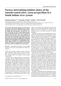 Factors determining habitat choice of the Lutra perspicillata South Indian river system