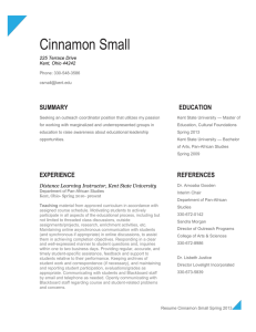 Cinnamon Small SUMMARY EDUCATION
