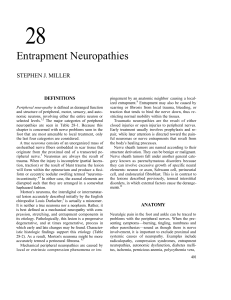 28 Entrapment Neuropathies STEPHEN J. MILLER DEFINITIONS
