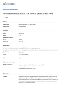 Recombinant Human TGF beta 1 protein ab82991 Product datasheet 1 Image Overview